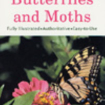 Butterflies and Moths