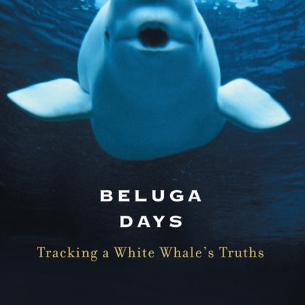 Beluga Days: Tracking a White Whale's Truths