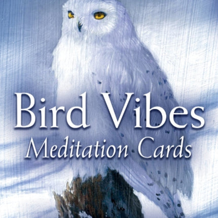 Bird Vibes Meditation Cards