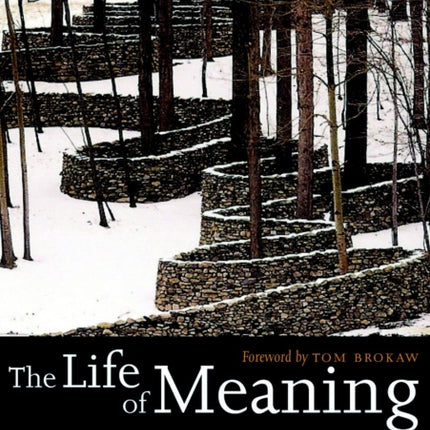 The Life Of Meaning