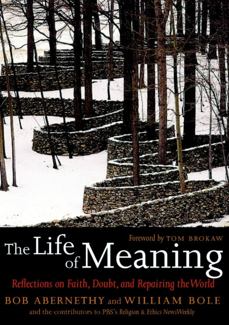 The Life Of Meaning: Reflections on Faith, Doubt and Repairing the World