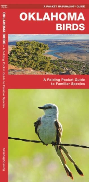 Oklahoma Birds: A Folding Pocket Guide to Familiar Species