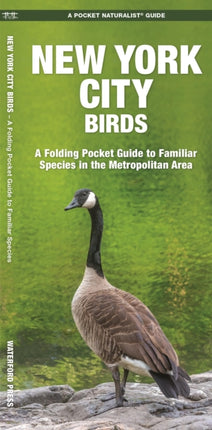 New York City Birds: A Folding Pocket Guide to Familiar Species in the Metropolitan Area