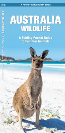 Australian Wildlife: A Folding Pocket Guide to Familiar Species