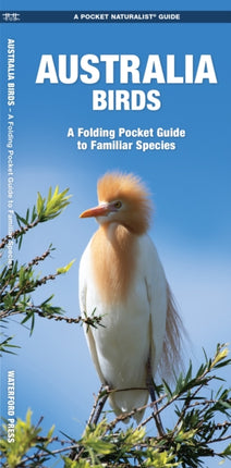 Australian Birds: A Folding Pocket Guide to Familiar Species