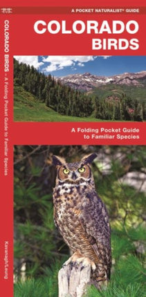 Colorado Birds: A Folding Pocket Guide to Familiar Species