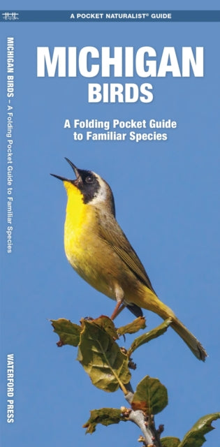 Michigan Birds: A Folding Pocket Guide to Familiar Species