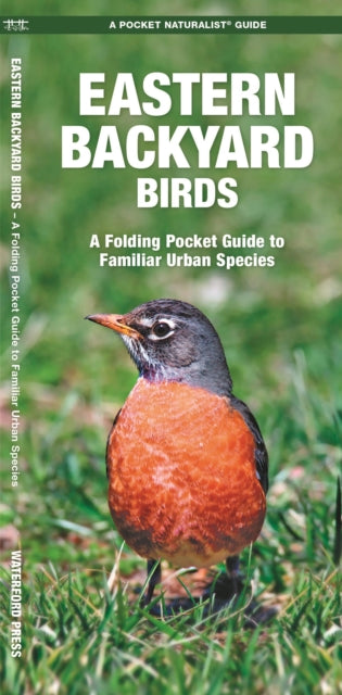 Eastern Backyard Birds: A Folding Pocket Guide to Familiar Urban Species