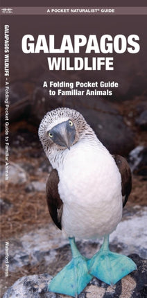 Galapagos Wildlife: A Folding Pocket Guide to Familiar Animals