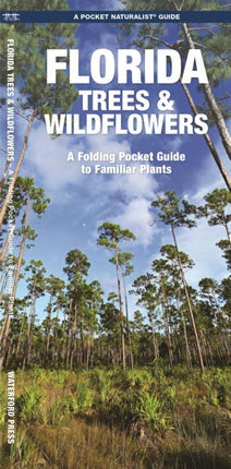 Florida Trees & Wildflowers: A Folding Pocket Guide to Familiar Species