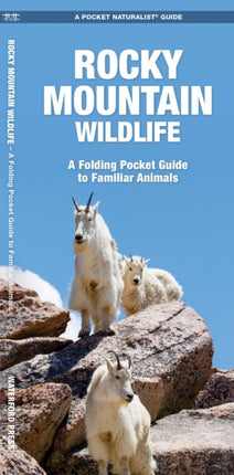 Rocky Mountain Wildlife: A Folding Pocket Guide to Familiar Species