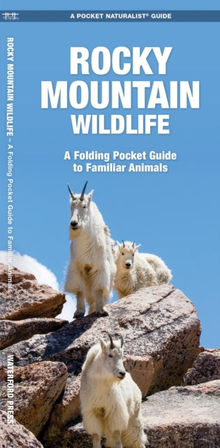 Rocky Mountain Wildlife: A Folding Pocket Guide to Familiar Species