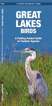 Great Lakes Birds: A Folding Pocket Guide to