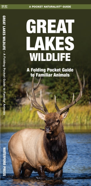 Great Lakes Wildlife: A Folding Pocket Guide to Familiar Species