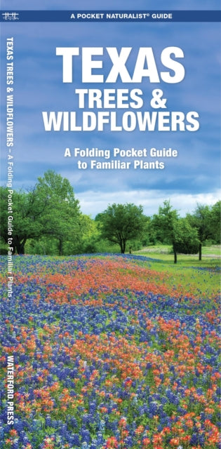 Texas Trees & Wildflowers: A Folding Pocket Guide to Familiar Species