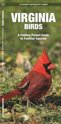 Virginia Birds: A Folding Pocket Guide to Familiar Species