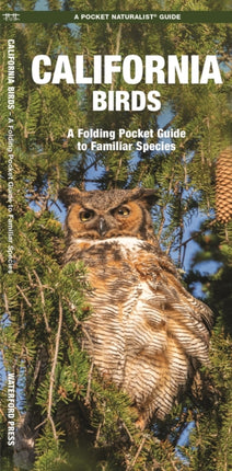 California Birds: A Folding Pocket Guide to Familiar Species