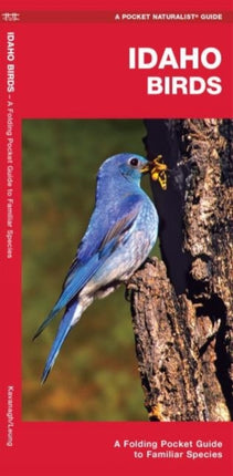 Idaho Birds: A Folding Pocket Guide to Familiar Species