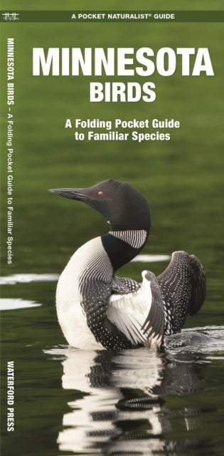 Minnesota Birds: A Folding Pocket Guide to Familiar Species