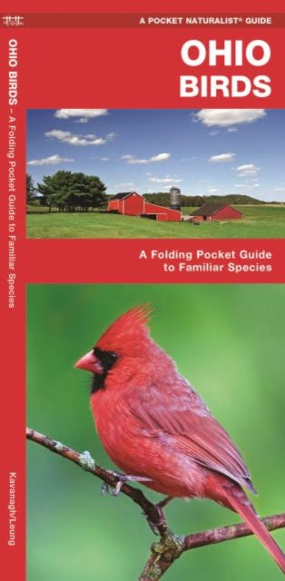 Ohio Birds: A Folding Pocket Guide to Familiar Species