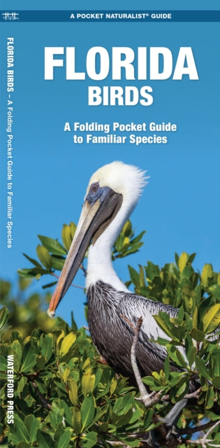 Florida Birds: A Folding Pocket Guide to Familiar Species