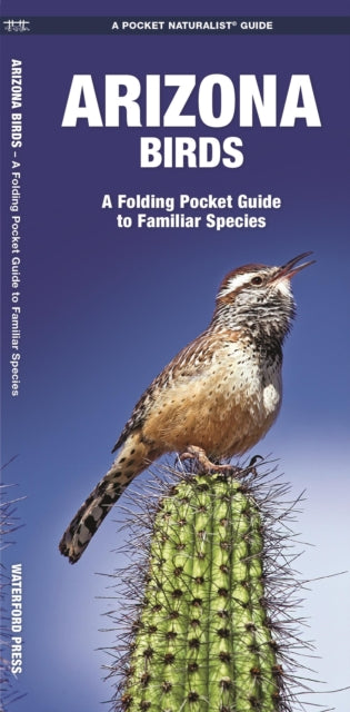 Arizona Birds: A Folding Pocket Guide to Familiar Species