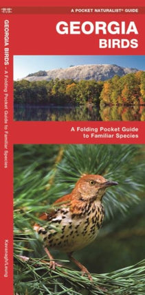 Georgia Birds: A Folding Pocket Guide to Familiar Species