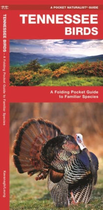 Tennessee Birds: A Folding Pocket Guide to Familiar Species