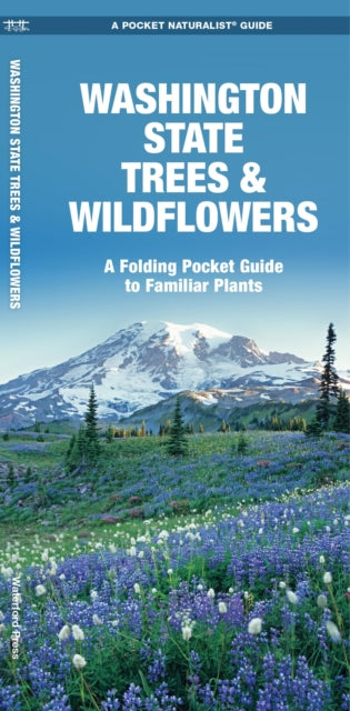 Washington State Trees & Wildflowers: A Folding Pocket Guide to Familiar Species