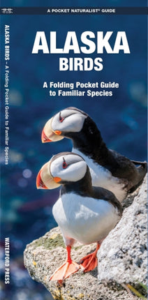 Alaska Birds: A Folding Pocket Guide to Familiar Species