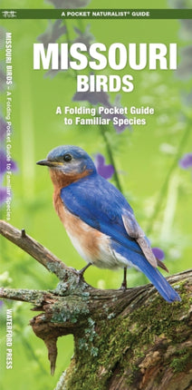 Missouri Birds: A Folding Pocket Guide to Familiar Species