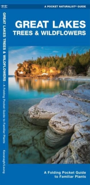 Great Lakes Trees & Wildflowers: A Folding Pocket Guide to Familiar Species