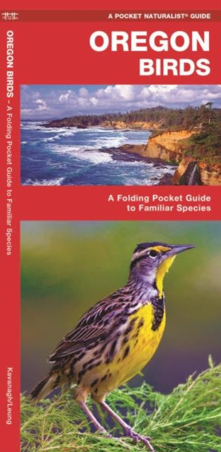 Oregon Birds: A Folding Pocket Guide to Familiar Species