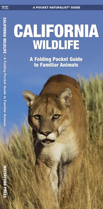 California Wildlife: A Folding Pocket Guide to Familiar Species