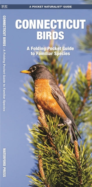 Connecticut Birds: A Folding Pocket Guide to Familiar Species