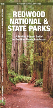 Redwood National & State Parks: A Folding Pocket Guide to Familiar Plants and Animals