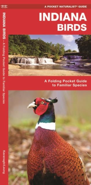 Indiana Birds: A Folding Pocket Guide to Familiar Species