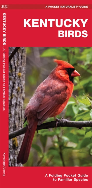 Kentucky Birds: A Folding Pocket Guide to Familiar Species