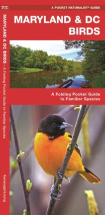 Maryland & DC Birds: A Folding Pocket Guide to Familiar Species