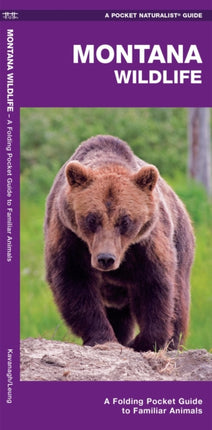 Montana Wildlife: A Folding Pocket Guide to Familiar Animals