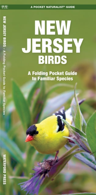 New Jersey Birds: A Folding Pocket Guide to Familiar Species