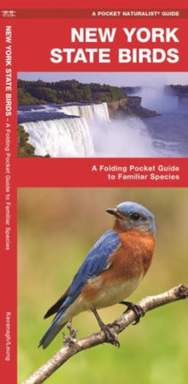 New York State Birds: A Folding Pocket Guide to Familiar Species