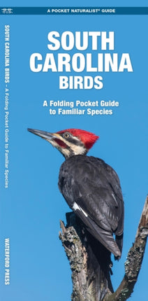 South Carolina Birds: A Folding Pocket Guide to Familiar Species