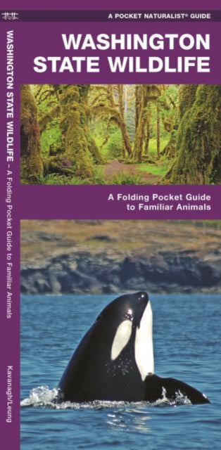 Washington State Wildlife: A Folding Pocket Guide to Familiar Species