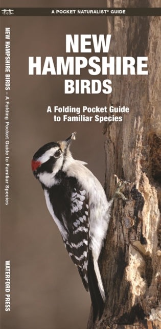 New Hampshire Birds: A Folding Pocket Guide to