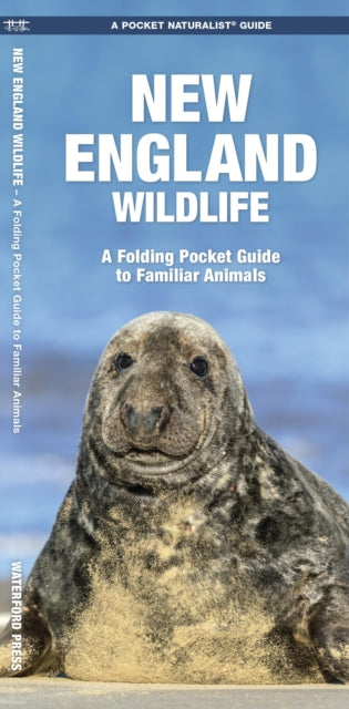 New England Wildlife: A Folding Pocket Guide to Familiar Species