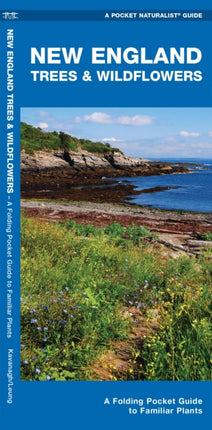 New England Trees & Wildflowers: A Folding Pocket Guide to Familiar Species