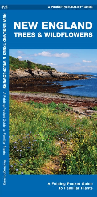 New England Trees & Wildflowers: A Folding Pocket Guide to Familiar Species