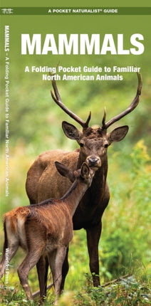 Mammals: A Folding Pocket Guide to Familiar North American Species