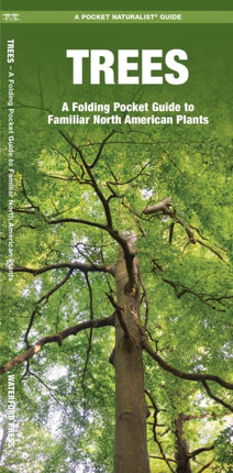 Trees: A Folding Pocket Guide to Familiar North American Species